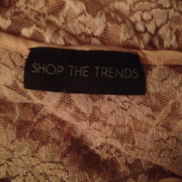 Pinup Style Baby Pink Lace & Mesh A-Line Dress - Picture 12 of 14